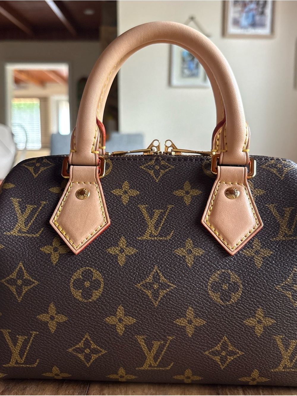 Louis Vuitton Speedy 20 Monogram